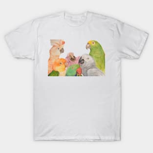 Watercolor of parrots: Cockatoo, caique, great alexander, African gray, baby macaw and amazon T-Shirt